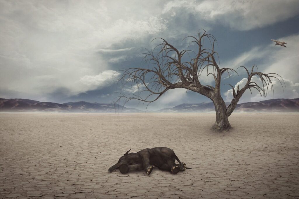 Why Some Animals Are Disappearing – And How Climate Plays a Big Role in It