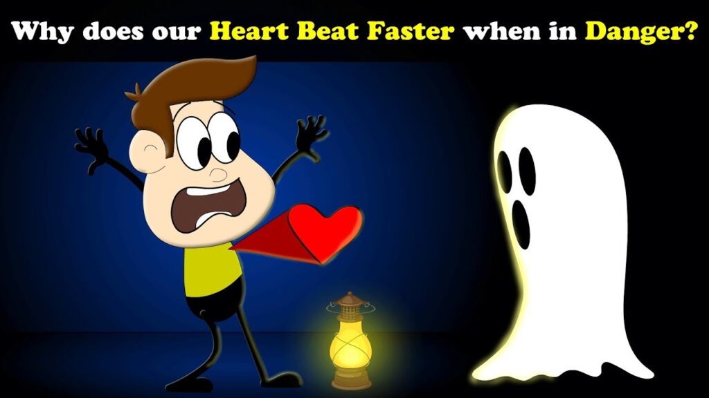 Why Your Heart Beats Faster When You’re Scared – Nervous System Explained