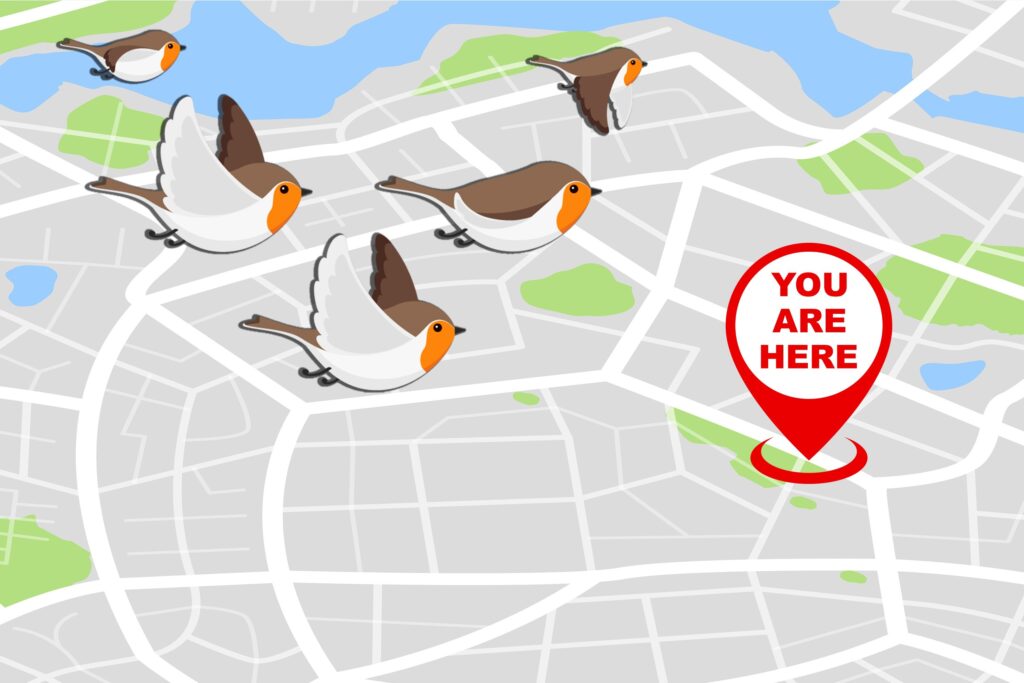 How Birds Navigate Thousands of Miles Without GPS
