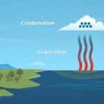 How Rain Happens in the Sky – And Why Some Places Get More Than Others